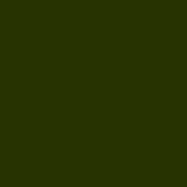 Fleece And Fur Plain Fleece Khaki