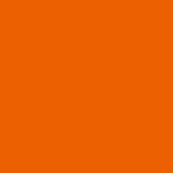 Fleece And Fur Plain Fleece Orange