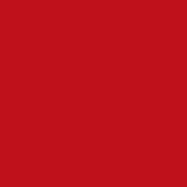 Fleece And Fur Plain Fleece Red
