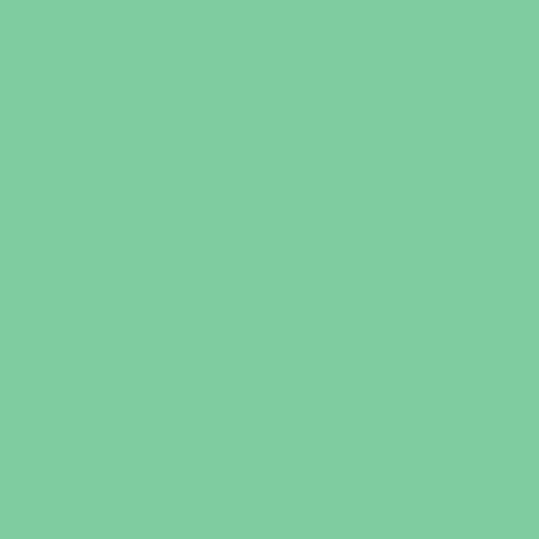 Fleece And Fur Plain Fleece Sage