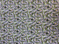 Pure Cotton Pima Lawn Tiny Lilac petals on Navy