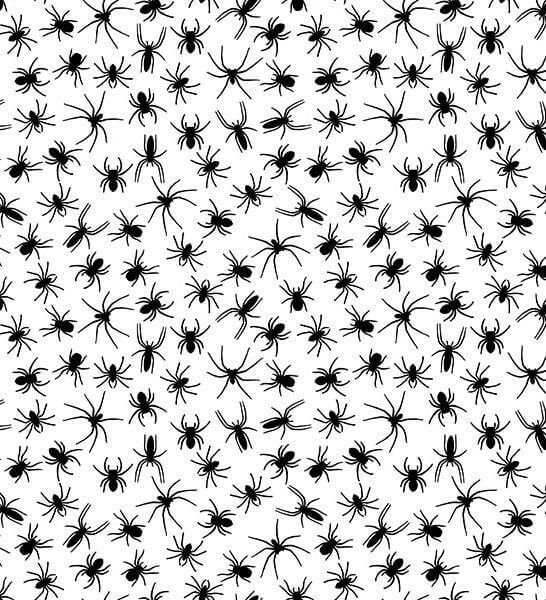 Cotton Blends Polycotton Prints Novelty and Misc. Prints Small Black Spiders on White TC7768