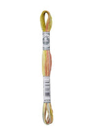 Haberdashery Embroidery DMC Stranded Cotton Coloris 4508
