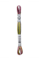 Haberdashery Embroidery DMC Stranded Cotton Coloris 4509