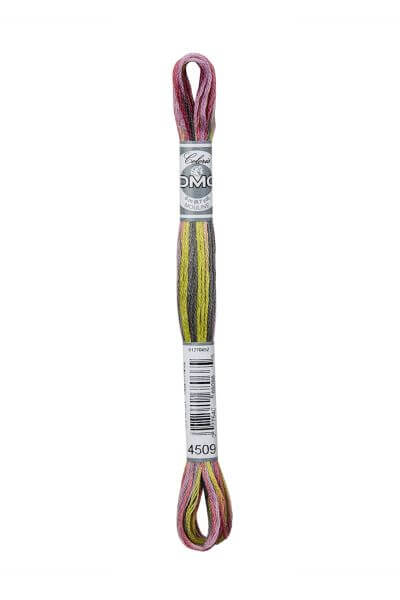 Haberdashery Embroidery DMC Stranded Cotton Coloris 4509
